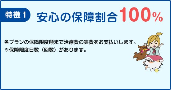 保障割合100%