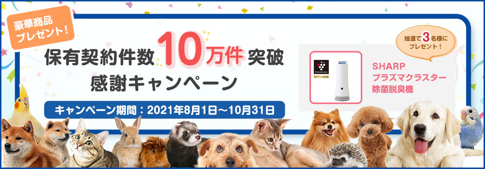 Sbiプリズム少額短期保険 小動物のペット保険